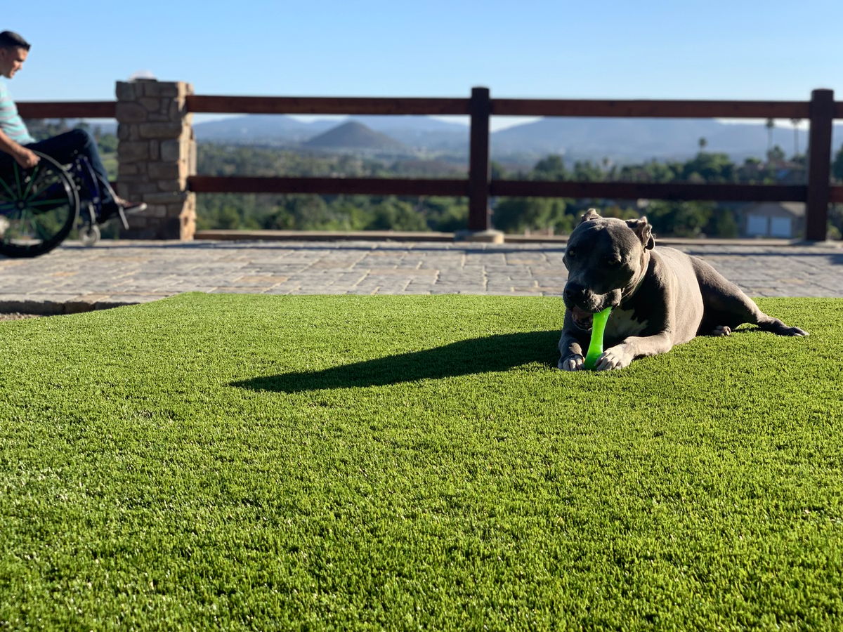 Escondido Paver & Turf - Driveway & Pool Deck photo 5