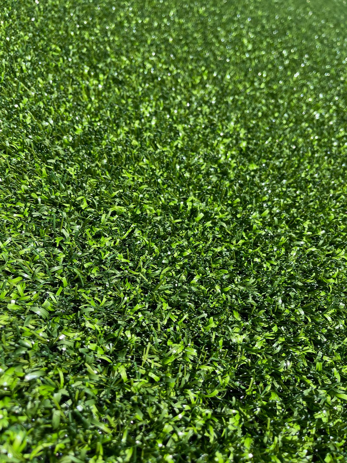Young Life Lost Canyon Synthetic Turf Field photo 22