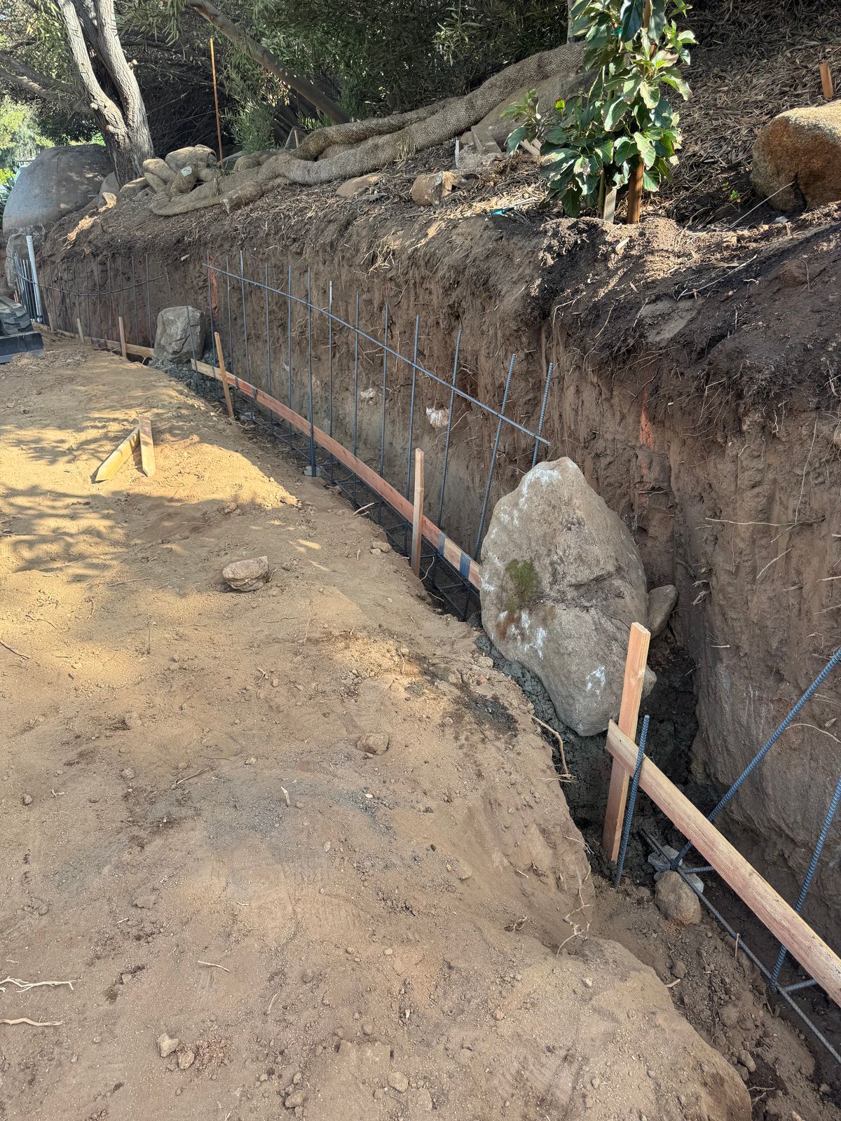 Rancho Bernardo Full Landscape photo 11