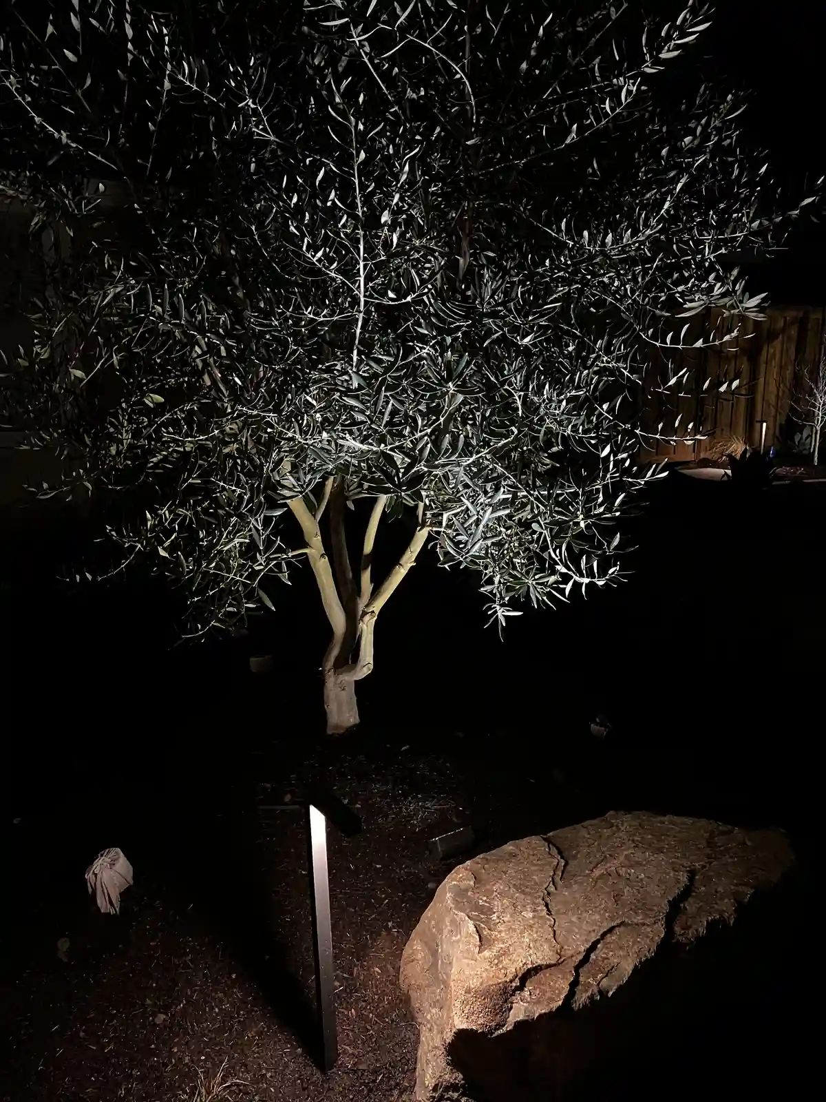 Landscape Lighting Designs in North County San Diego photo 3