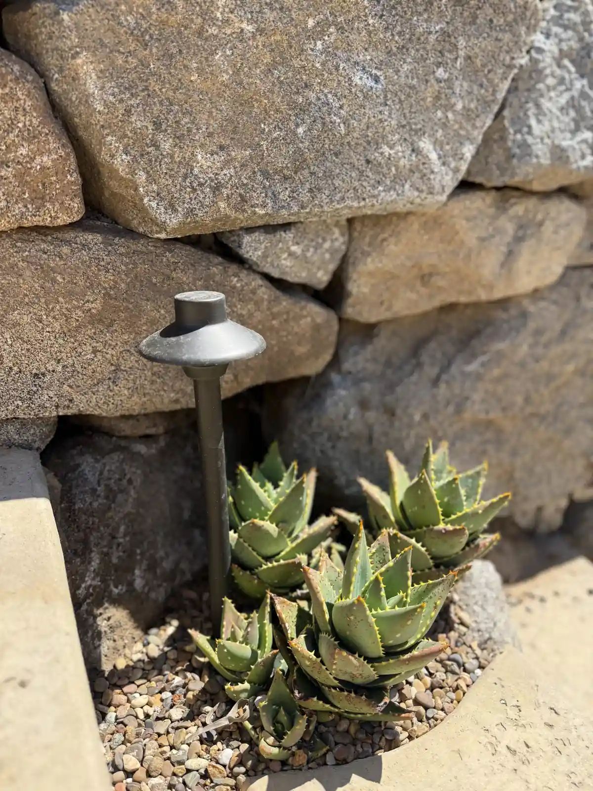 Landscape Lighting Designs in North County San Diego photo 6