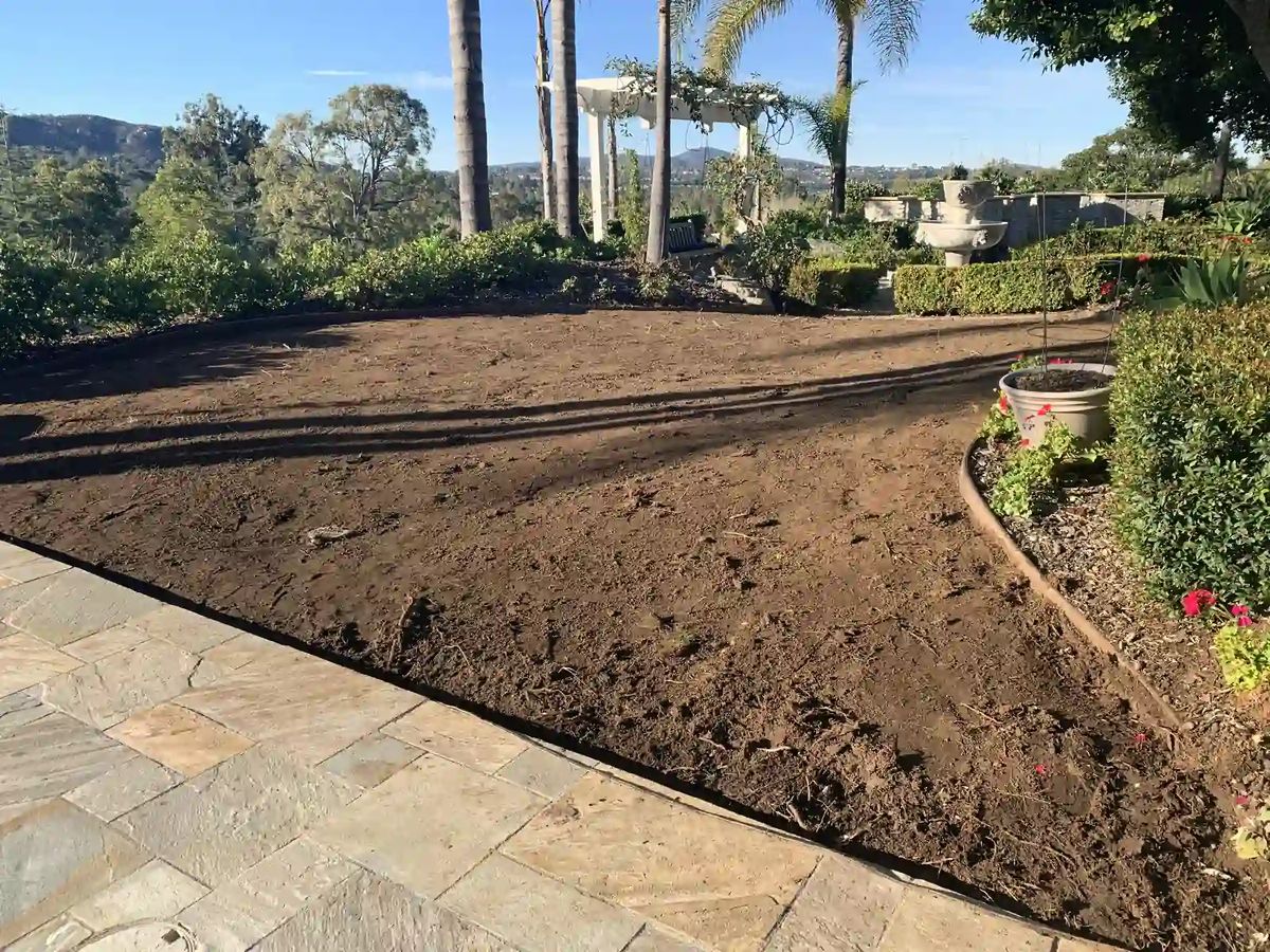 Heritage (Poway) Backyard Turf Transformation photo 8
